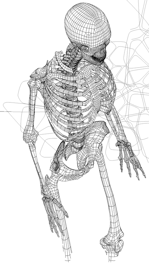 Illustration of a skeleton